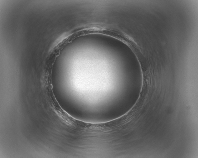 X0000079581448200612081523