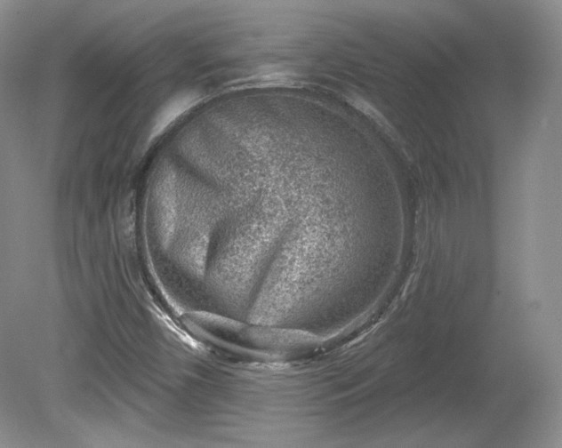 X0000079581450200612081523