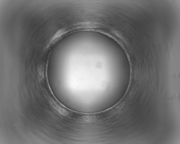 X0000079581451200612081523