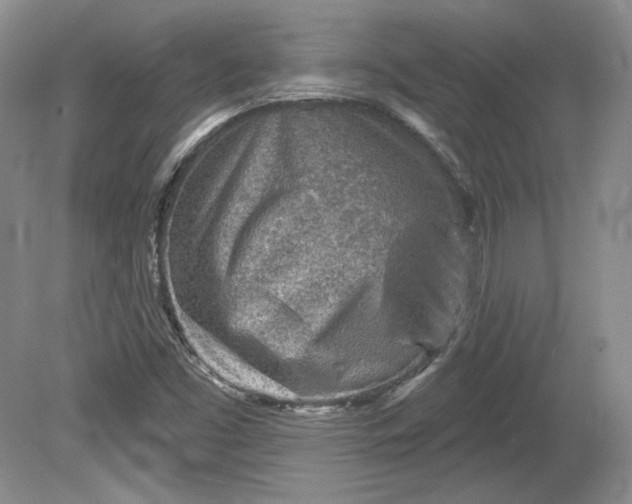 X0000079581453200612081523