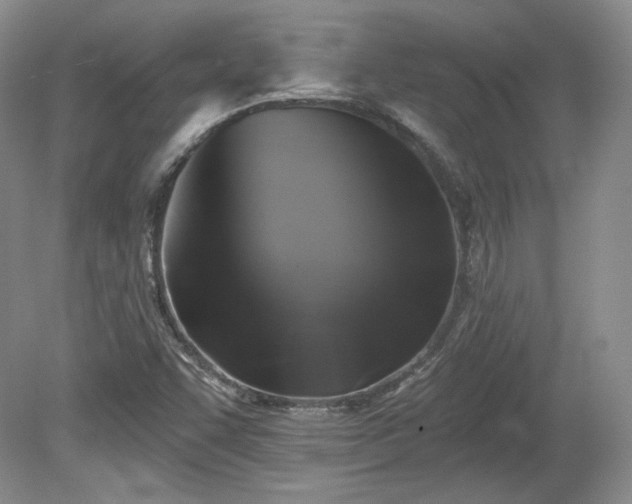 X0000079581455200612081523