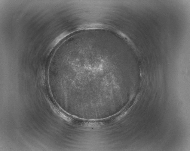 X0000079581457200612081523