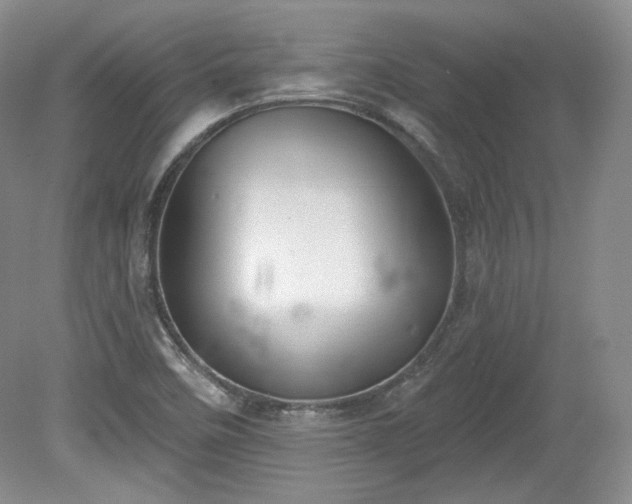 X0000079581458200612081523
