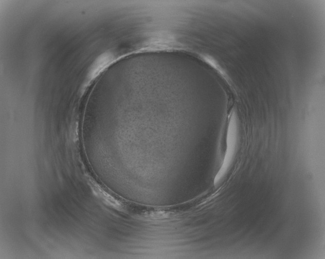 X0000079581459200612081523