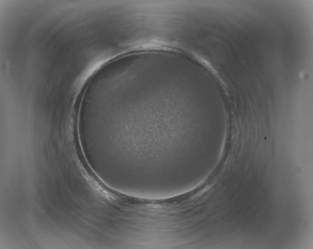 X0000079581463200612081523