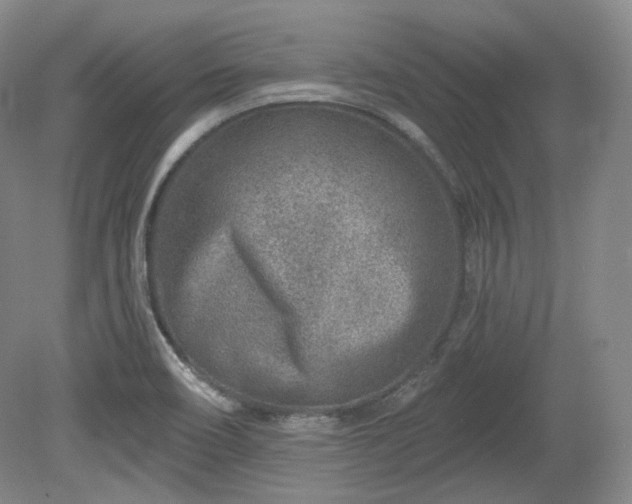 X0000079581466200612081523