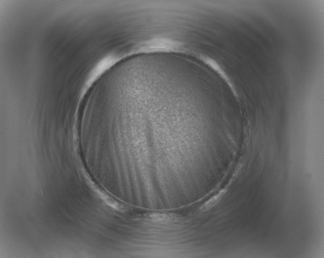 X0000079581469200612081523
