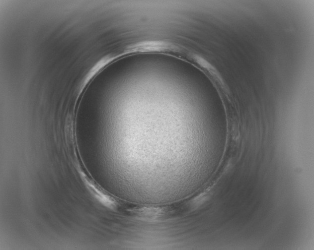 X0000079581473200612081522