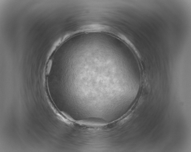 X0000079581477200612081522