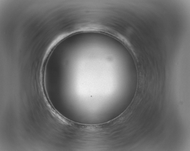 X0000079581480200612081522