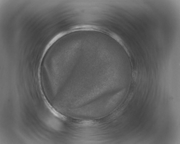 X0000079581482200612081522