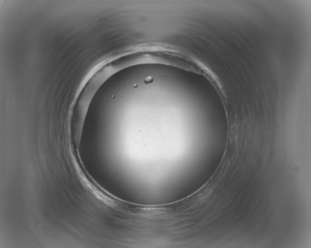 X0000079581483200612081522
