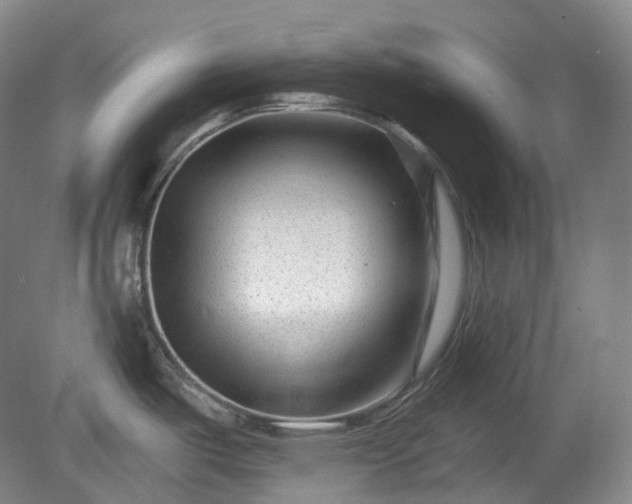 X0000079581487200612081522