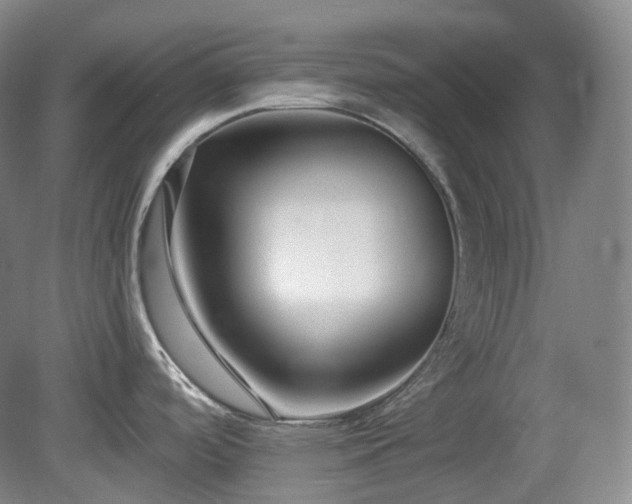X0000079581488200612081522