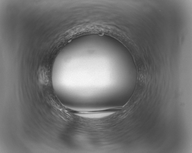 X0000079581490200612081521