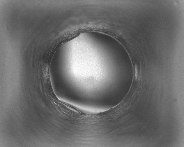X0000079581492200612081521