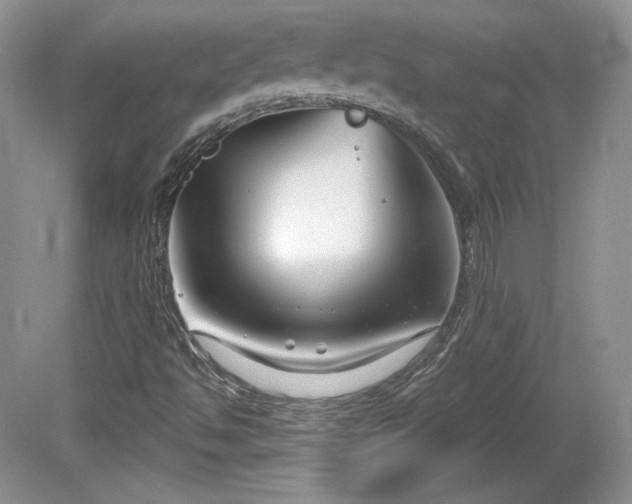 X0000079581494200612081521