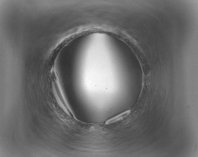 X0000079581496200612081522