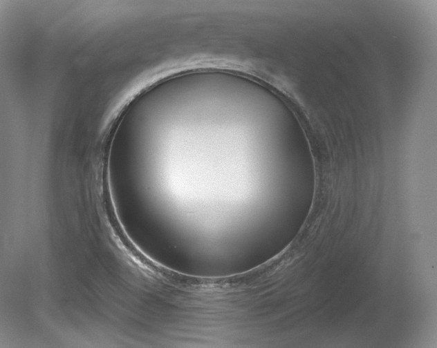 X0000079581504200612081522