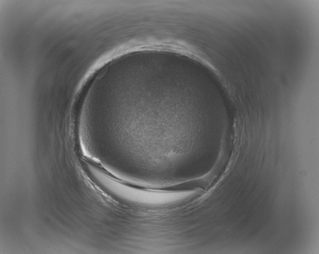 X0000079581506200612081522