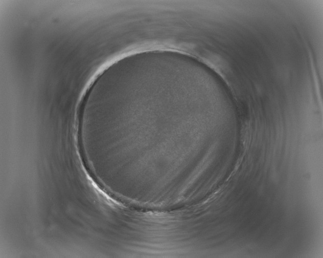 X0000079581508200612081522