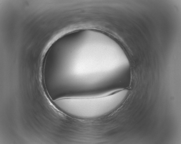 X0000079581512200612081522