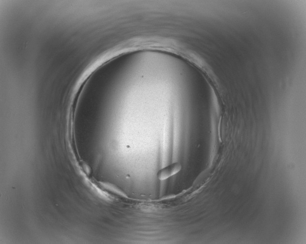 X0000079581520200612081522