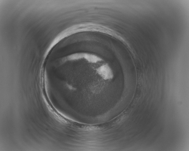 X0000079581522200612081522