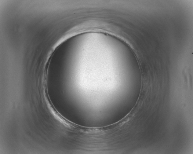 X0000079581526200612081522