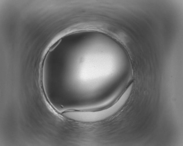 X0000079581528200612081522