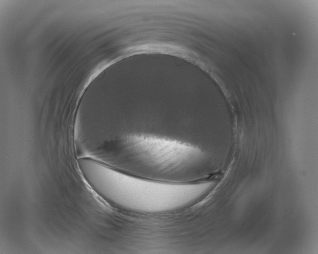 X0000079581529200612081522