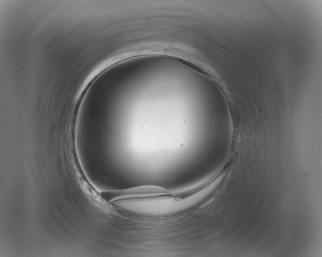 X0000079581530200612081522