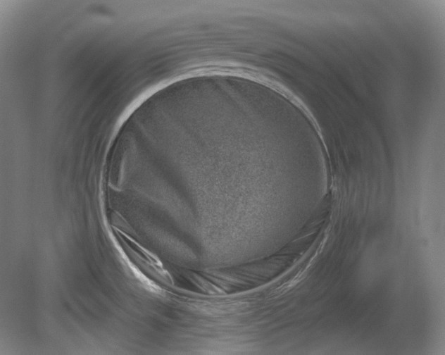 X0000079581533200612081522
