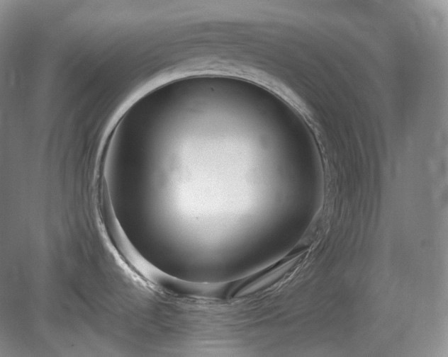 X0000079581536200612081522