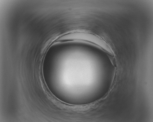 X0000079580001200612152118