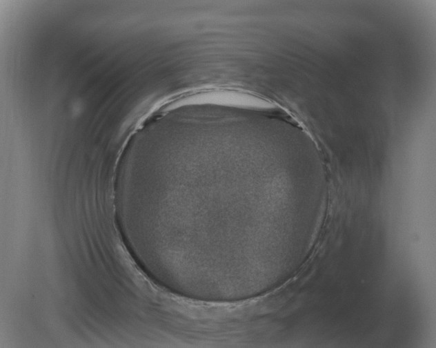 X0000079580002200612152118