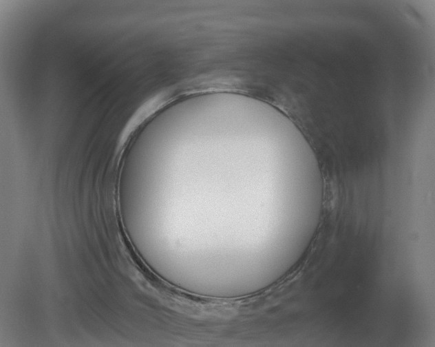 X0000079580004200612152118