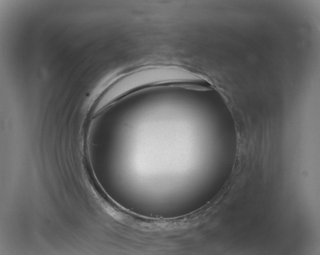 X0000079580005200612152118