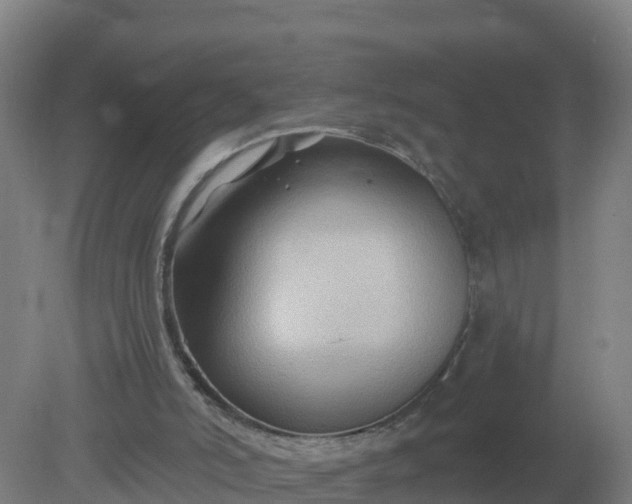 X0000079580006200612152118