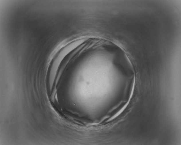 X0000079580007200612152118