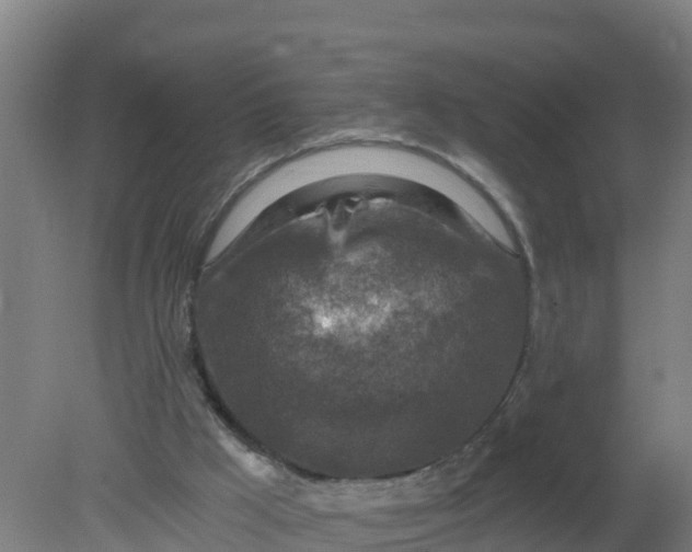 X0000079580009200612152118