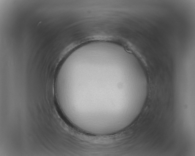 X0000079580011200612152118