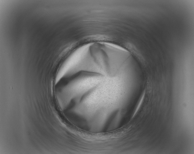 X0000079580014200612152118