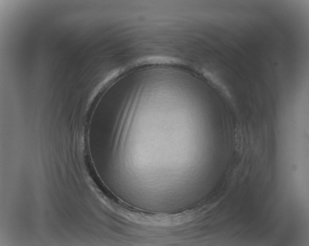 X0000079580015200612152118