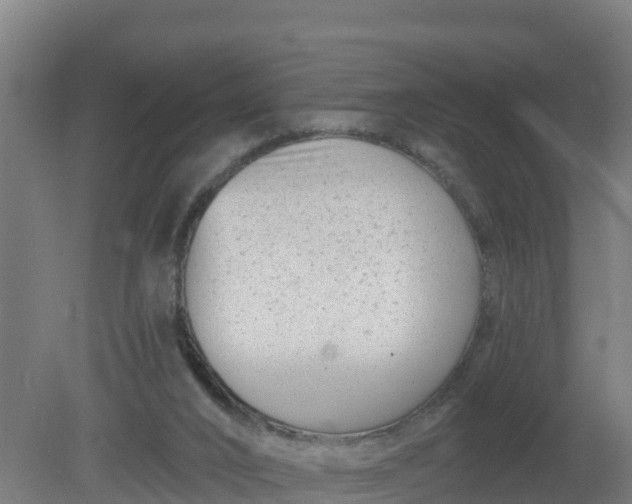 X0000079580016200612152118