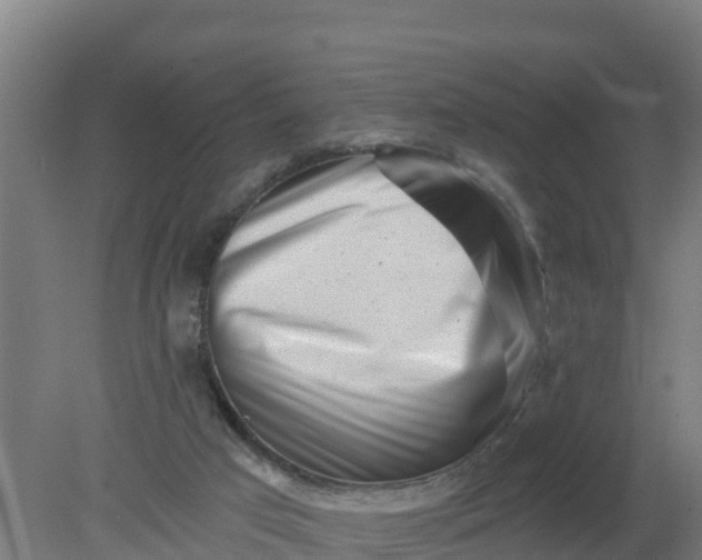 X0000079580017200612152118