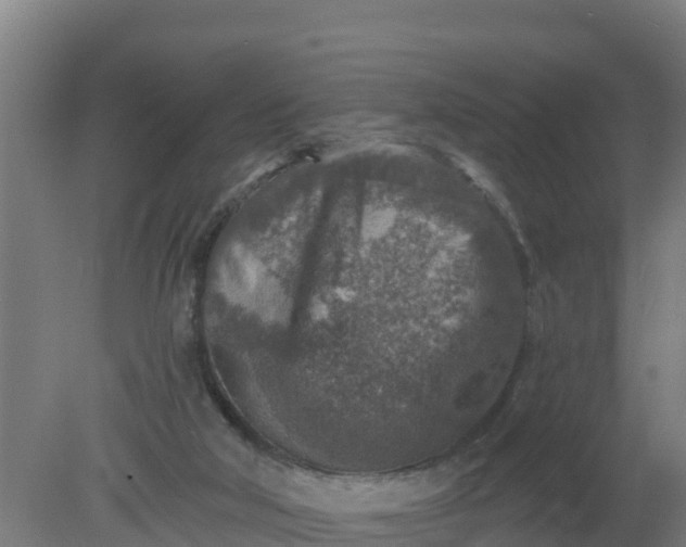 X0000079580018200612152118