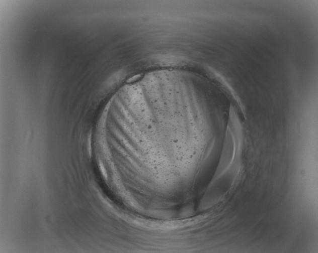 X0000079580019200612152118