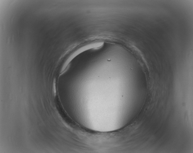 X0000079580020200612152118