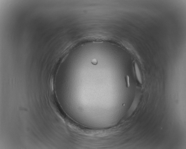 X0000079580021200612152117